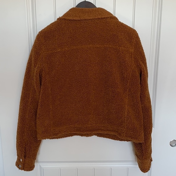 NWT Faux Shearling Moto Teddy Jacket Large Cognac Cropped Sherpa Lined Cozy - Picture 3 of 13